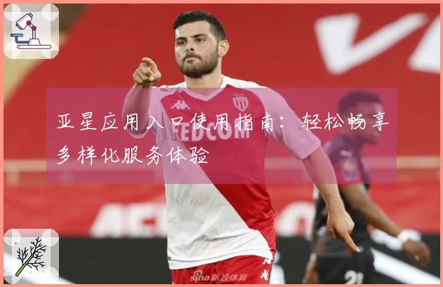 亚星应用入口使用指南：轻松畅享多样化服务体验