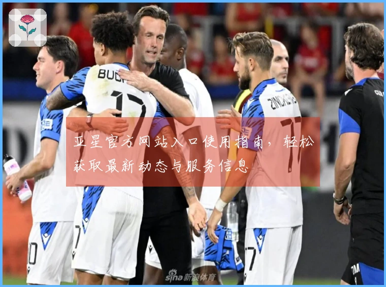 亚星官方网站入口使用指南，轻松获取最新动态与服务信息
