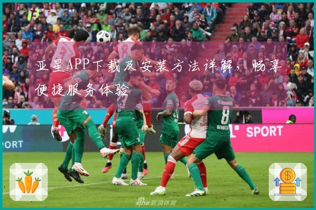 亚星APP下载及安装方法详解，畅享便捷服务体验