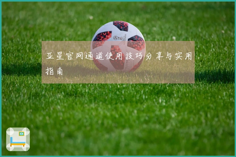 亚星官网通道使用技巧分享与实用指南